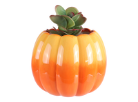 Pumpkin Planter