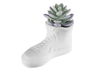 Fresh Kicks Planter