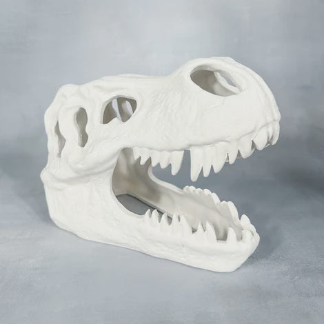 T-Rex Skull