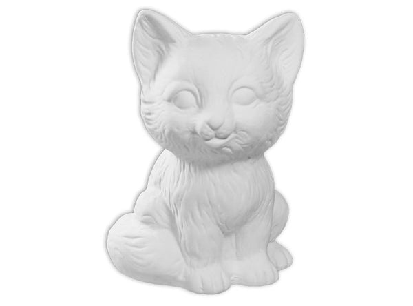 Fiona the cat