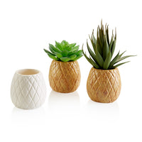 PINEAPPLE PLANTER